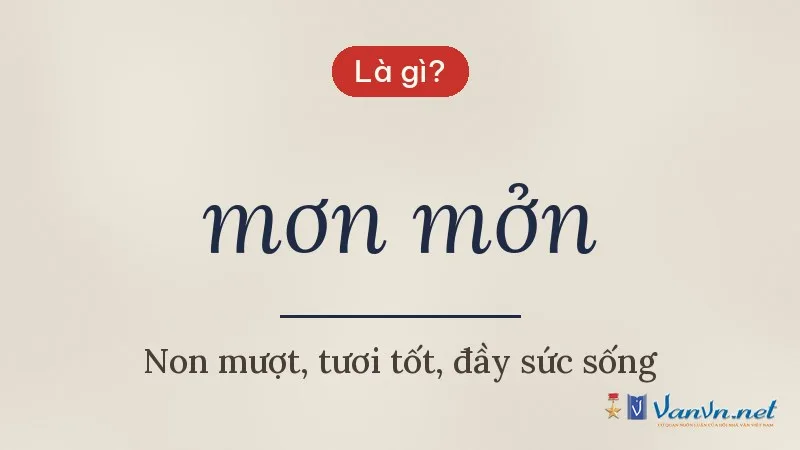 mơn mởn là gì