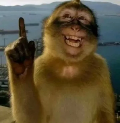 monkey meme