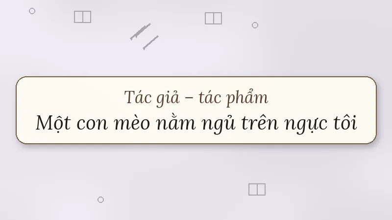 một con mèo nằm ngủ trên ngực tôi anh ngọc