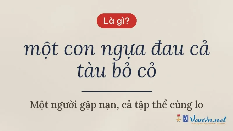 một con ngựa đau cả tàu bỏ cỏ là gì