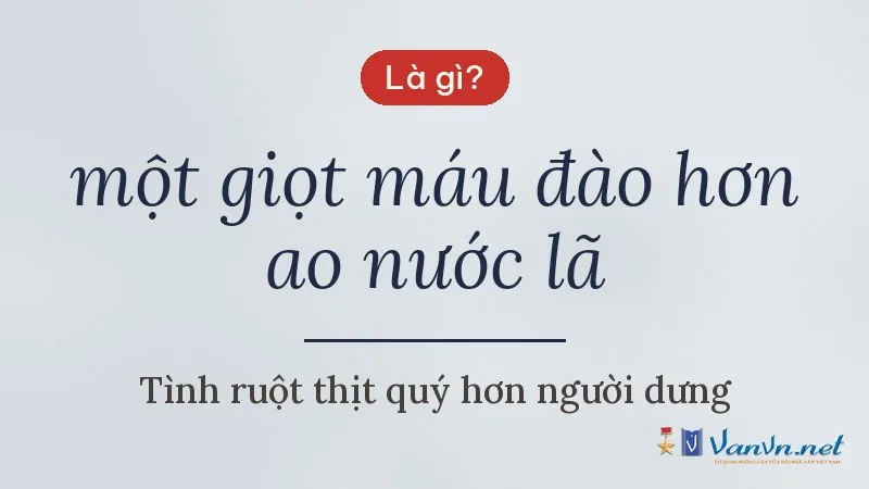 một giọt máu đào hơn ao nước lã là gì