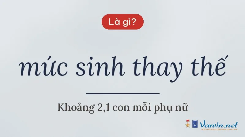 mức sinh thay thế là gì