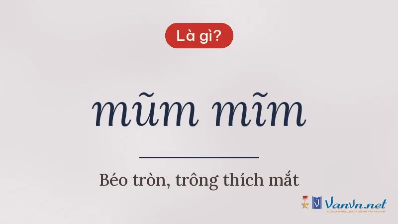 mũm mĩm là gì