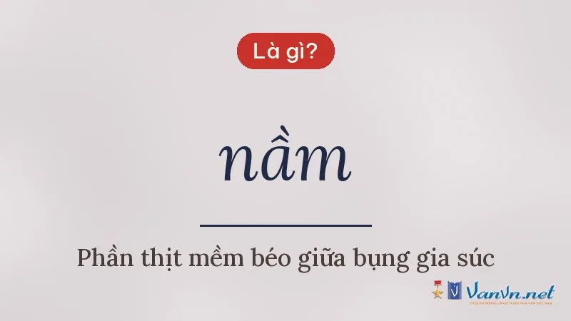 nầm là gì