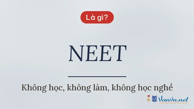 NEET là gì