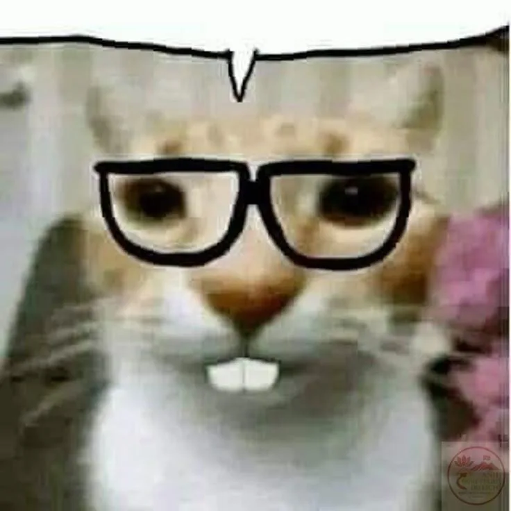 nerd meme