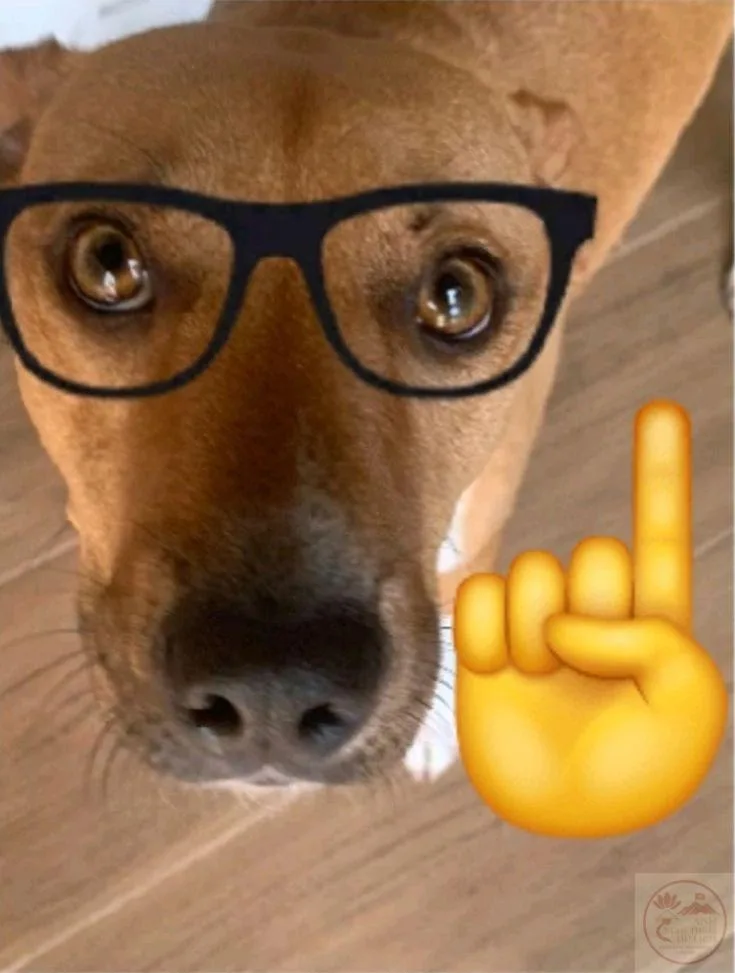 nerd emoji meme