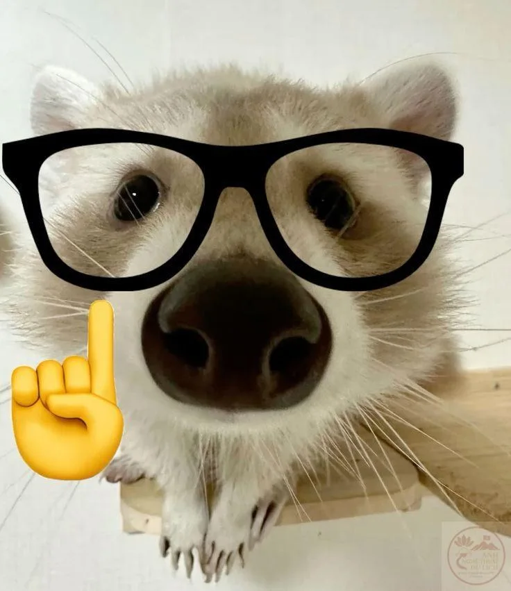nerd emoji meme