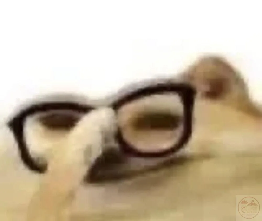 nerd meme
