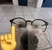 nerd emoji meme