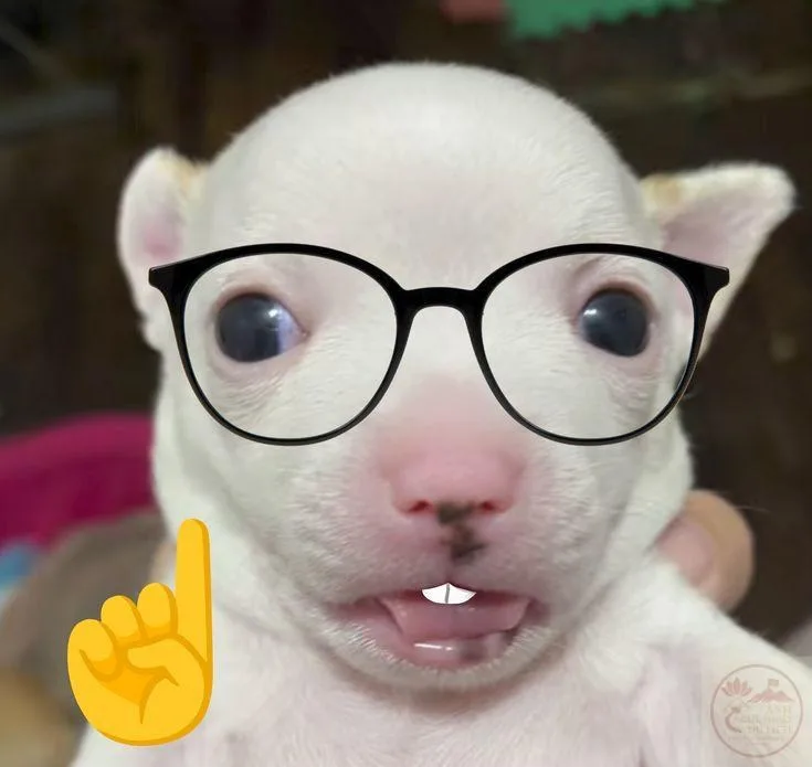 nerd emoji meme