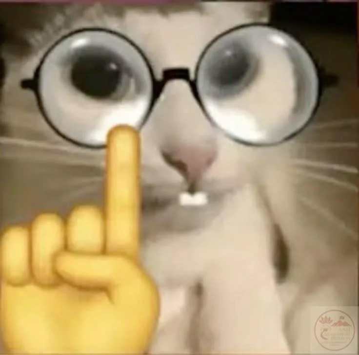 nerd emoji meme