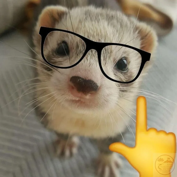 nerd emoji meme