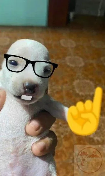 nerd emoji meme