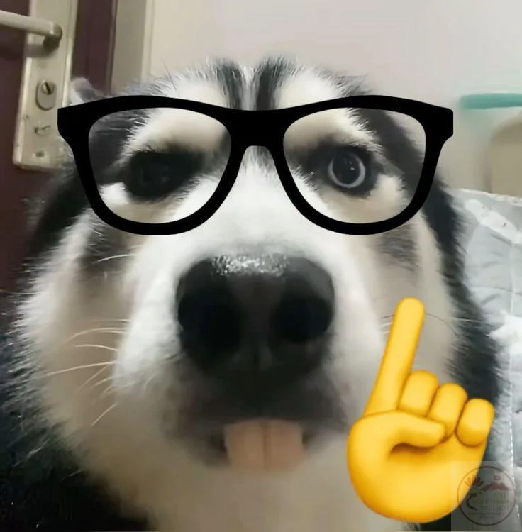 nerd emoji meme