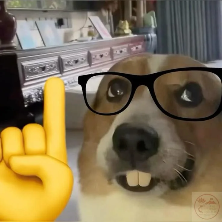 nerd emoji meme
