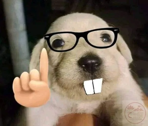 nerd emoji meme