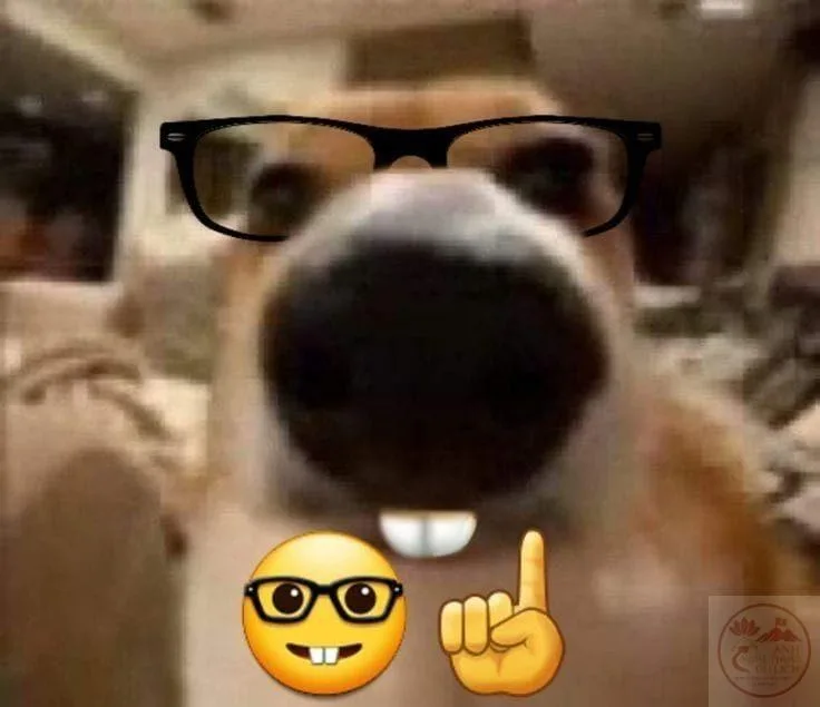 nerd emoji meme