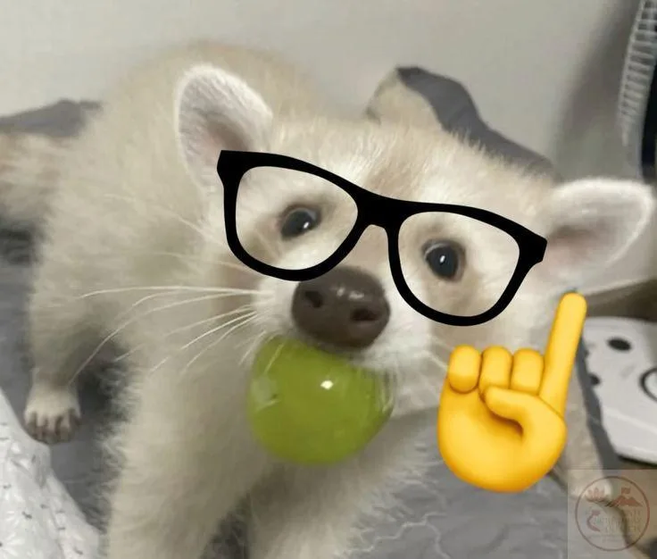 nerd emoji meme