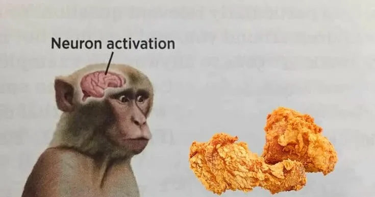 neuron activation meme monkey