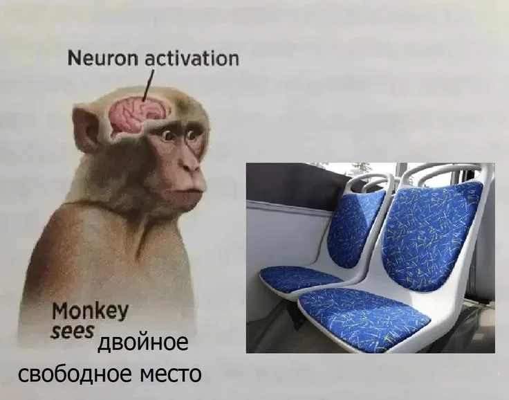 neuron activation meme monkey
