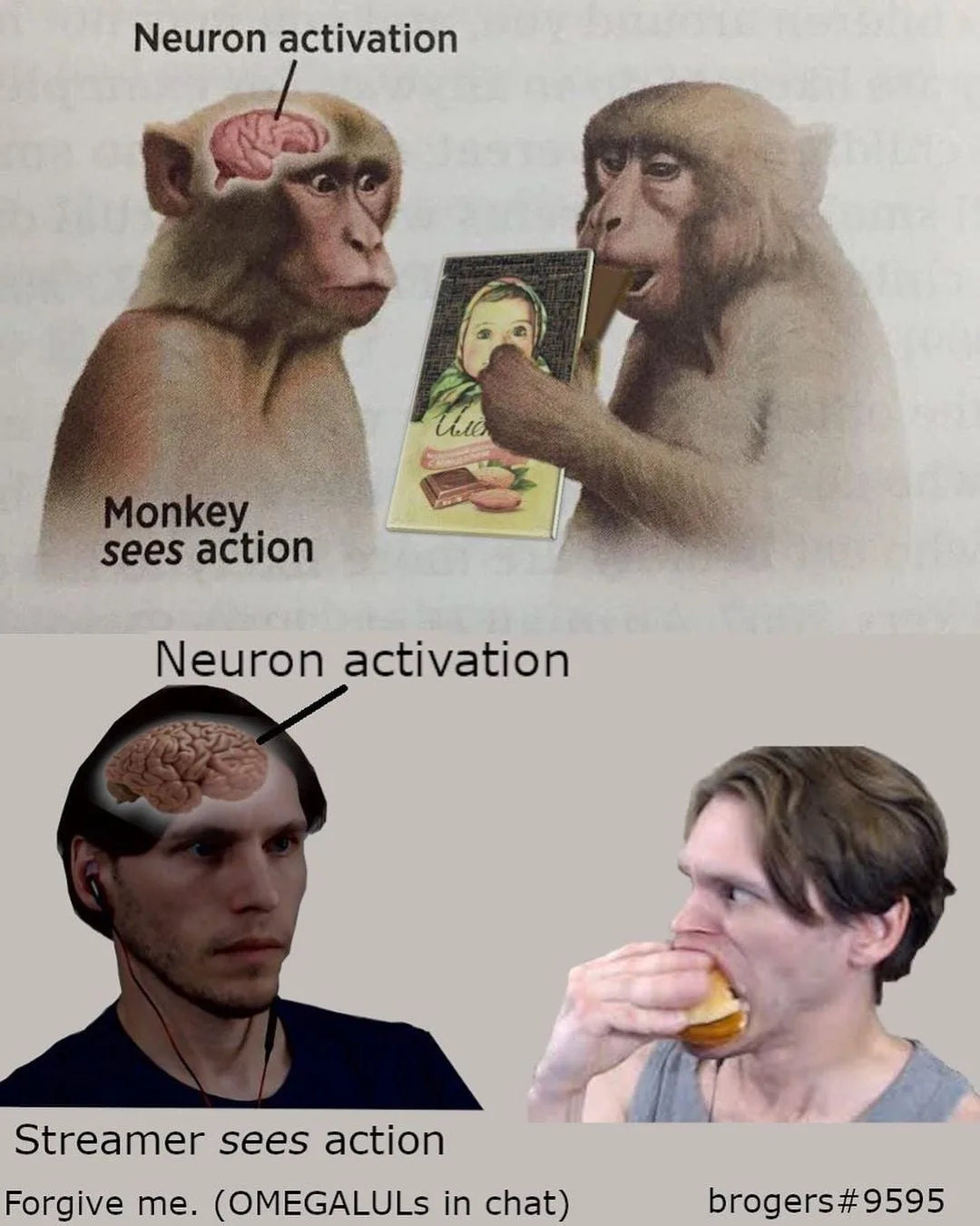 neuron activation meme monkey