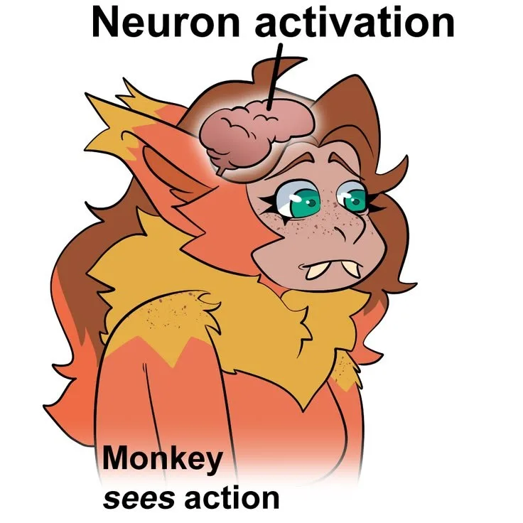neuron activation meme monkey