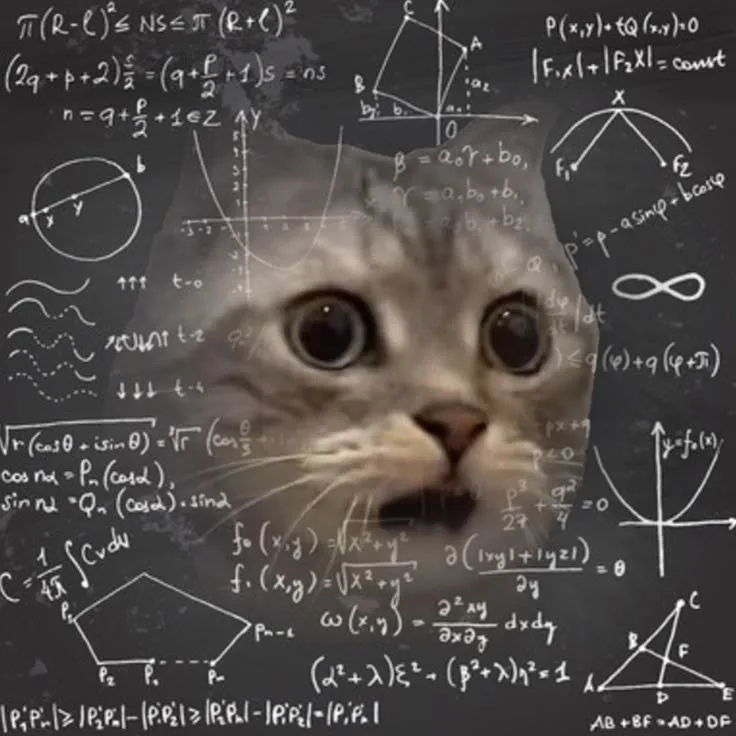 neuron activation meme