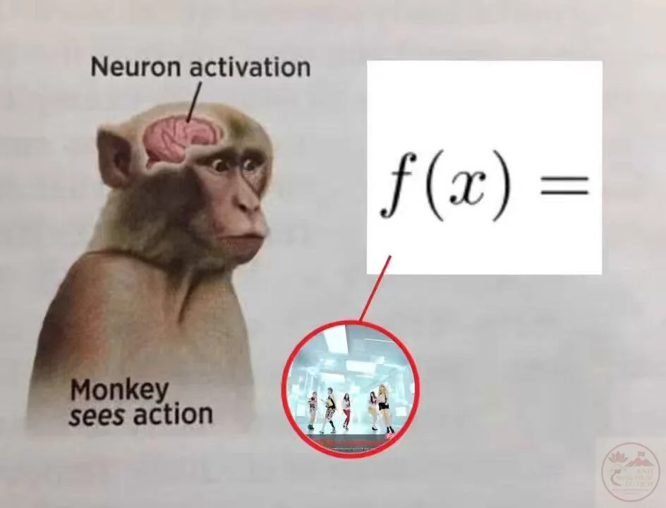 neuron activation meme monkey
