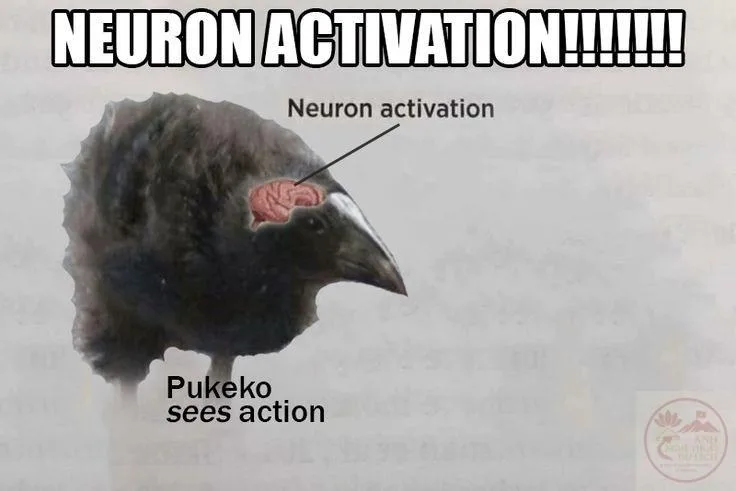 neuron activation meme