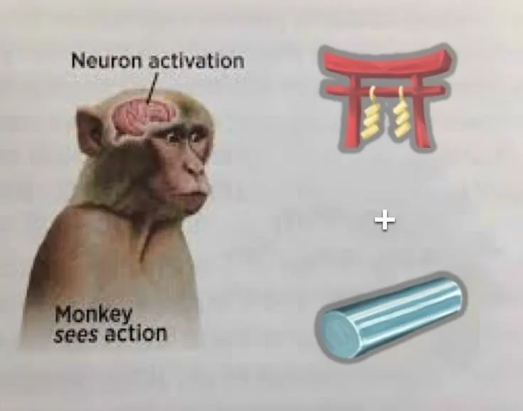 neuron activation meme monkey