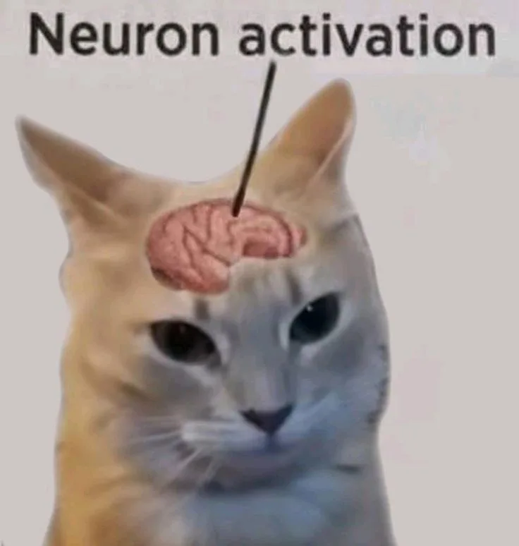 neuron activation meme
