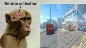 neuron activation meme monkey