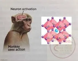 neuron activation meme monkey