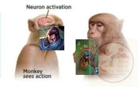 neuron activation meme monkey