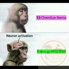 neuron activation meme monkey