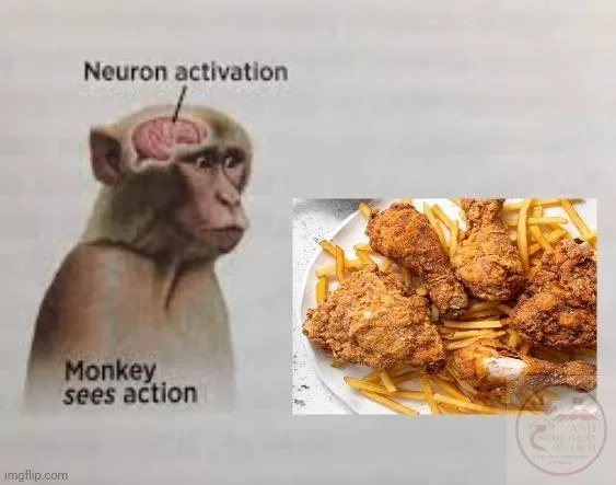 neuron activation meme monkey