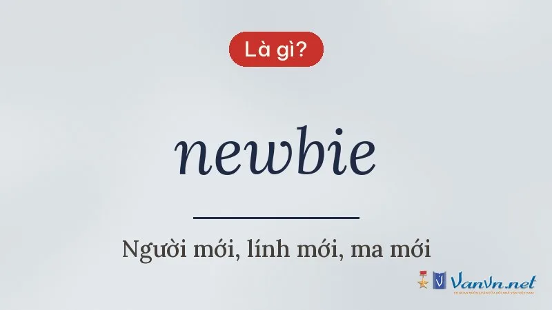 newbie là gì