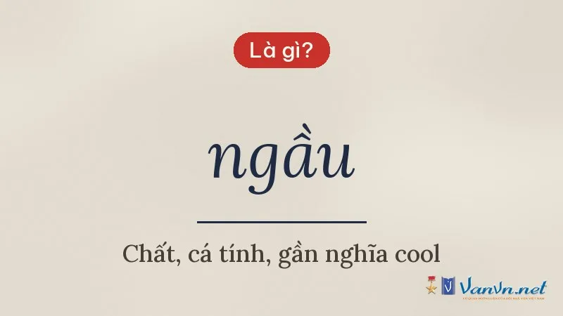 ngầu là gì