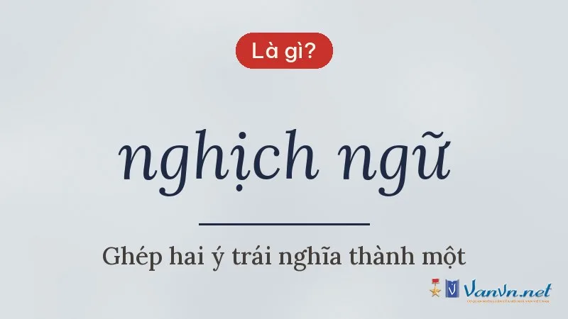 nghịch ngữ là gì