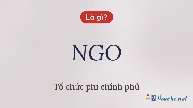 NGO là gì