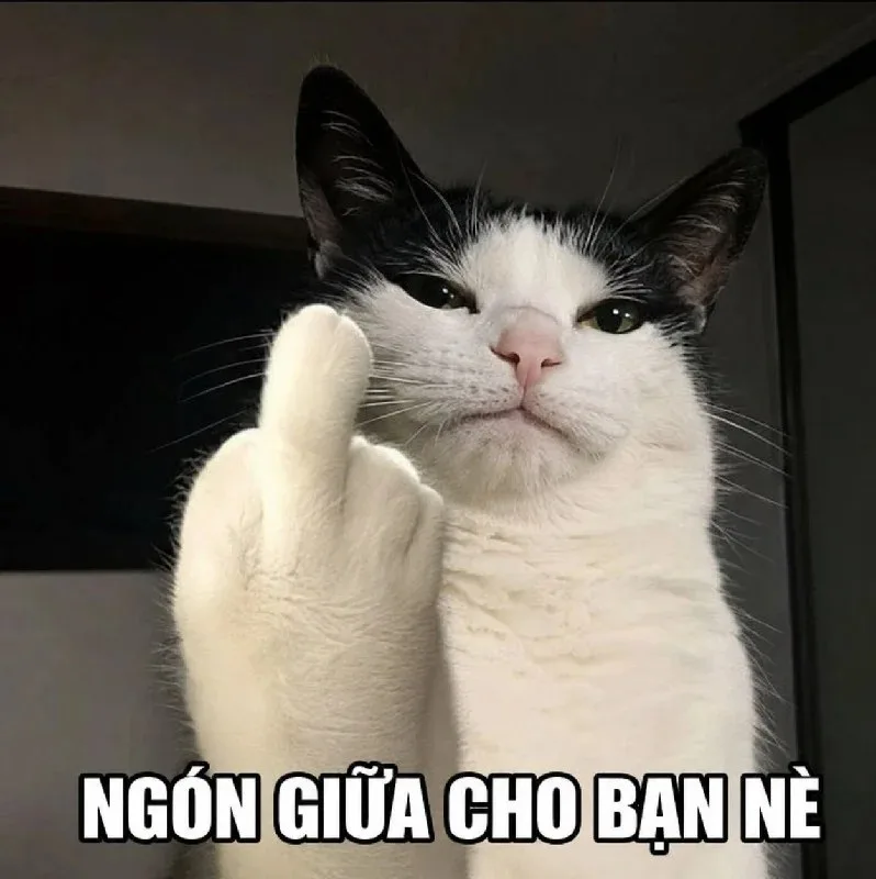 meme ngón tay giữa