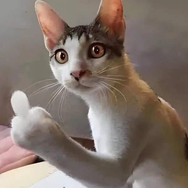 meme ngón tay giữa