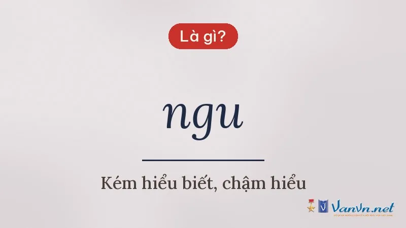 ngu là gì