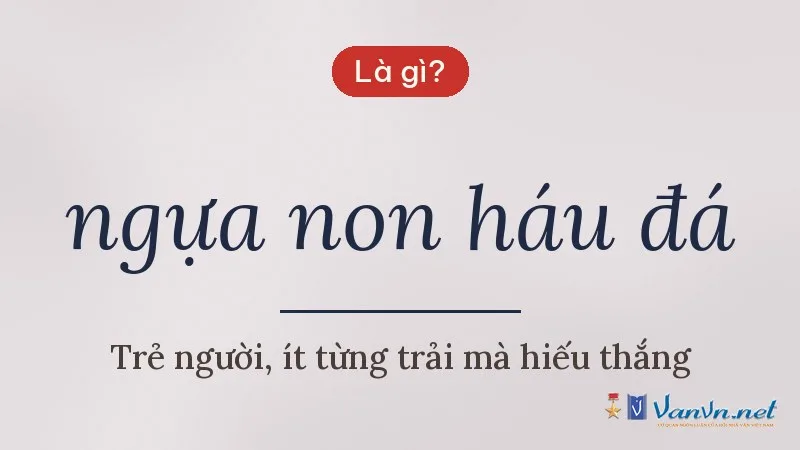 ngựa non háu đá là gì