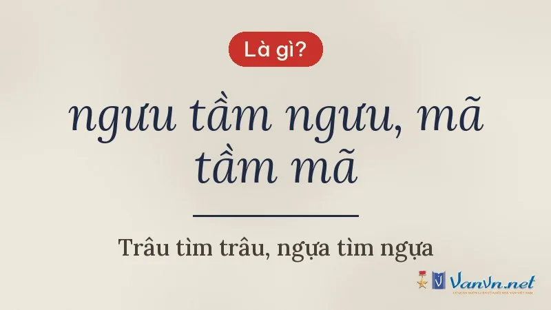 ngưu tầm ngưu, mã tầm mã là gì