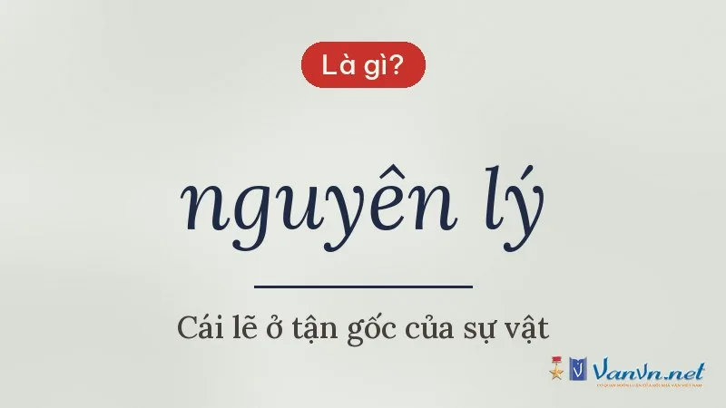 nguyên lý là gì