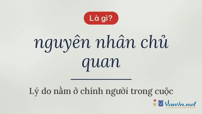 nguyên nhân chủ quan là gì