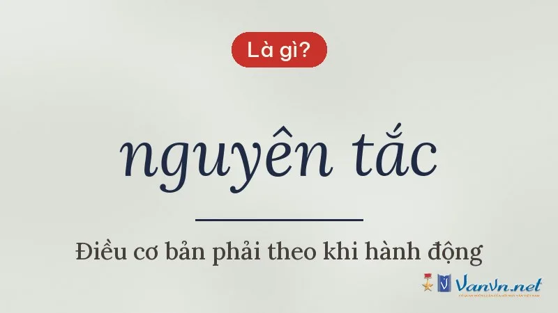 nguyên tắc là gì