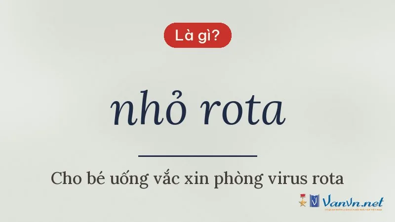 nhỏ rota là gì